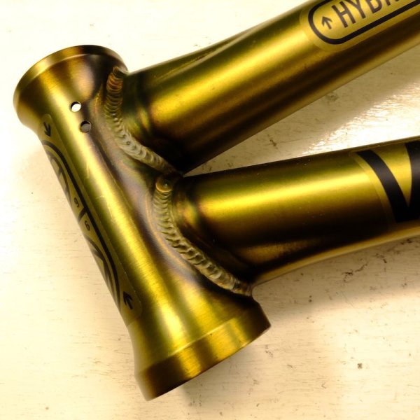 画像1: WTP UTOPIA HYBRID FRAME(matt translucent gold)