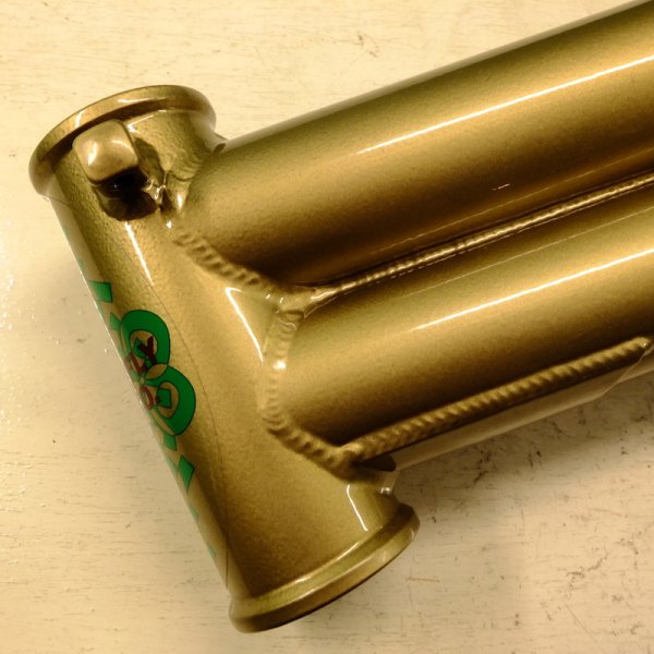 画像1: DRAGONFLY Motion Frame(gold 18.4")