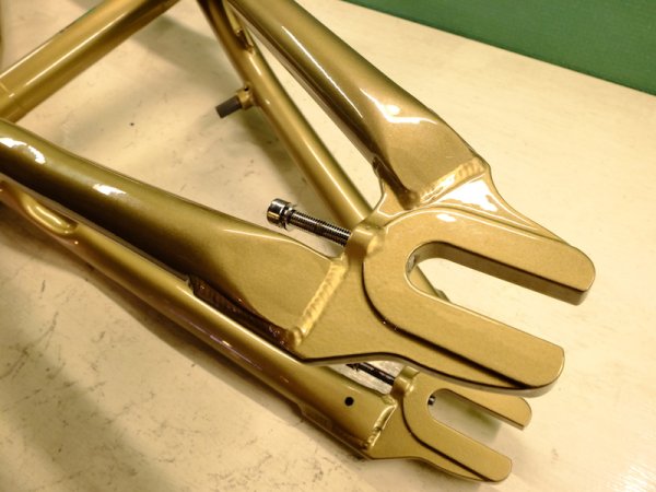 画像3: DRAGONFLY Motion Frame(gold 18.4")