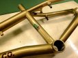 画像4: DRAGONFLY Motion Frame(gold 18.4") (4)