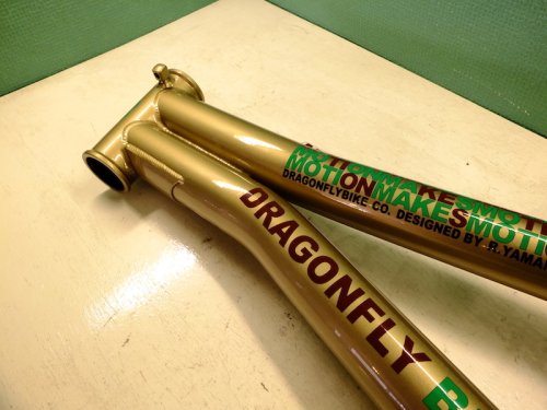 他の写真1: DRAGONFLY Motion Frame(gold 18.4")