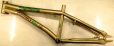 画像2: DRAGONFLY Motion Frame(gold 18.4") (2)