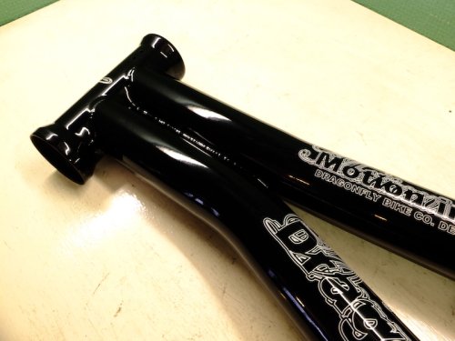 他の写真1: DRAGONFLY Motion Zwei Frame(black 18.8")