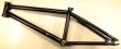 画像2: NOUS date v3 frame(trans black 19.9")