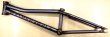 画像2: WTP_UTOPIA FRAME(matt translucent gray)