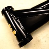 画像: DRAGONFLY Solo2 Frame